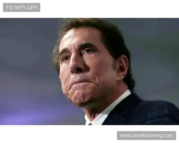 史蒂芬永利的职业生涯与成就探索