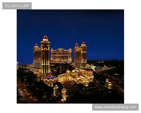 澳门十大娱乐场所法人代表的任职条件与选拔标准详解 澳门十大娱乐场所法人代表的任职条件与选拔标准详解