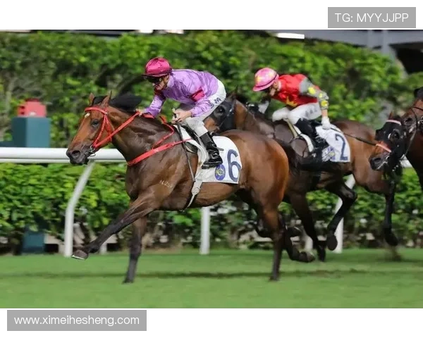 hkjc官方网站提供专业的赛马资讯和投注策略,助你成为赛马投注高手 hkjc官方网站提供专业的赛马资讯和投注策略,助你成为赛马投注高手