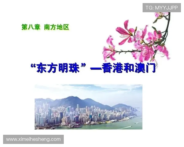 澳门总统在线注册平台常见问题解答与注册流程详细说明