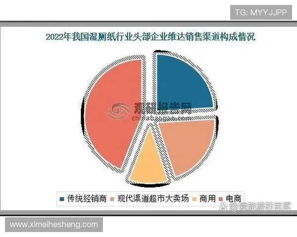 澳门金碧汇彩在老区的地理位置与发展现状全面解读